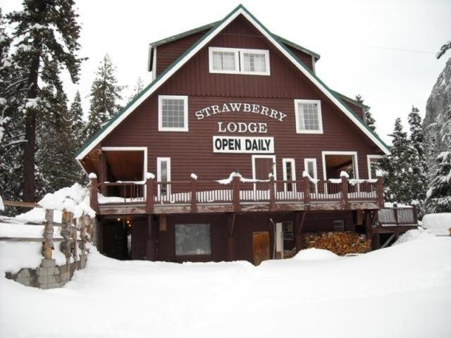 Upper Forni Strawberry Lodge מראה חיצוני תמונה