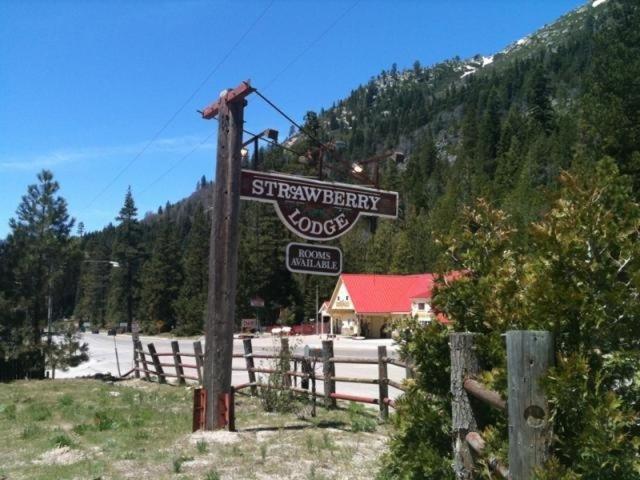 Upper Forni Strawberry Lodge מראה חיצוני תמונה